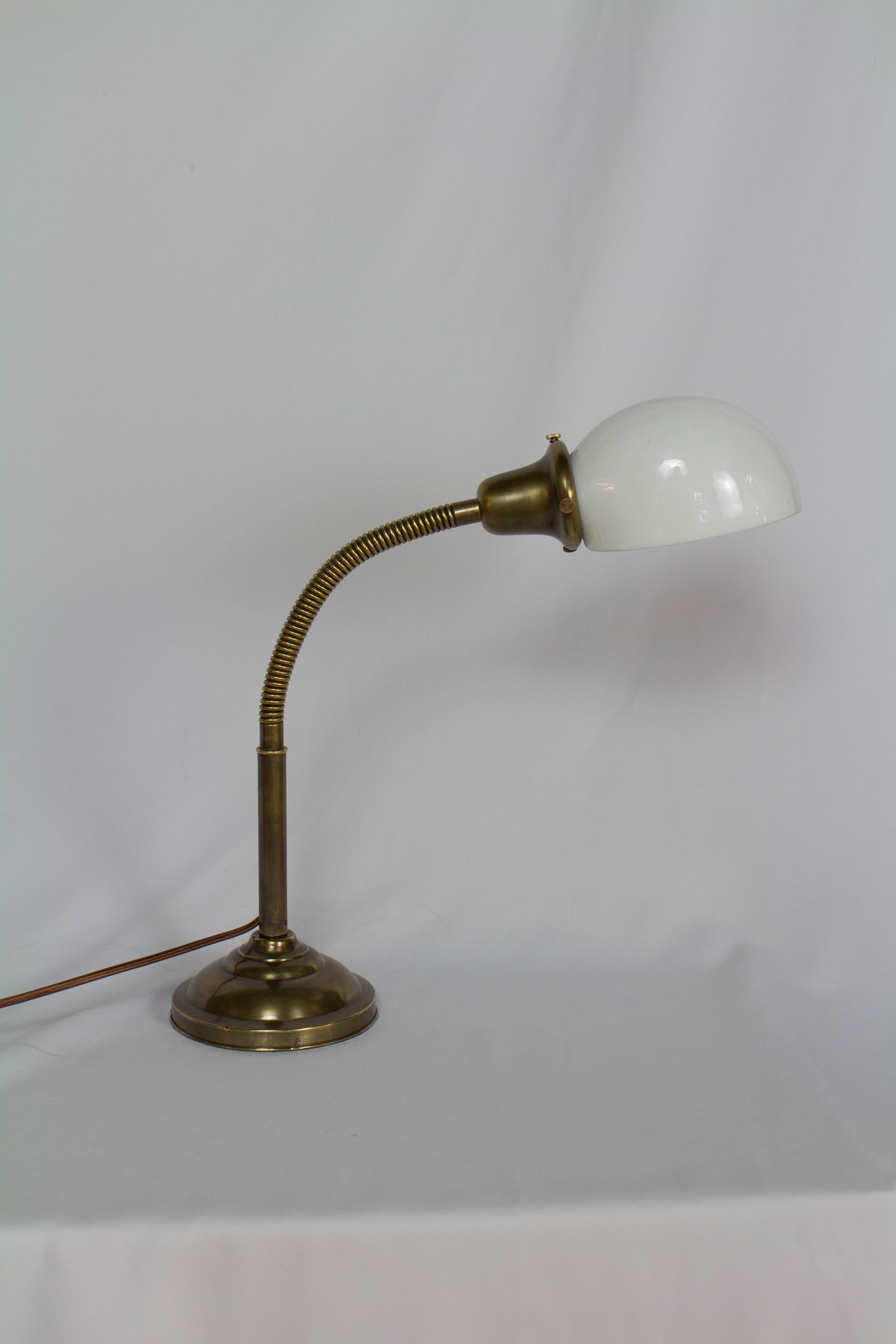 Antique Brass Gooseneck Lamp with Glass Shade Appleton Antique Lighting